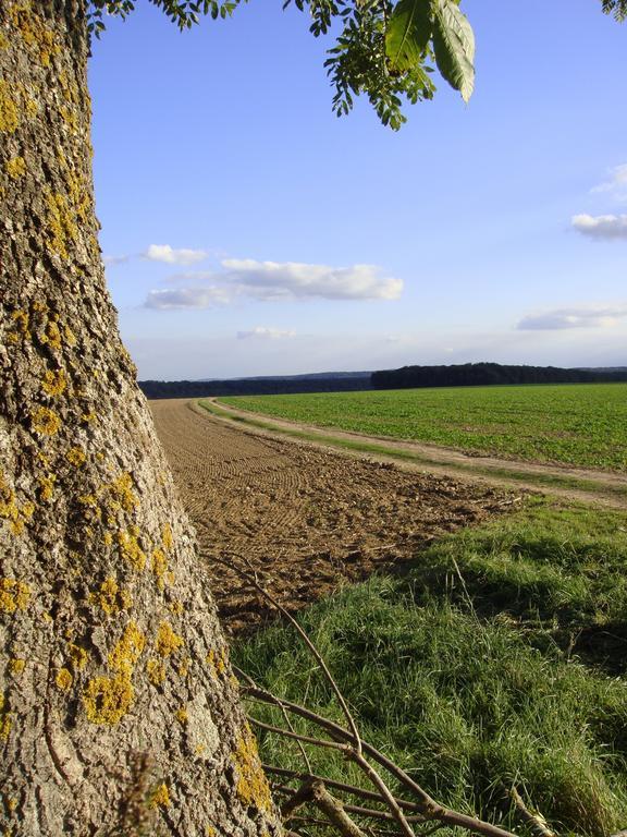 La Grange De Boulaines Méru Exterior foto